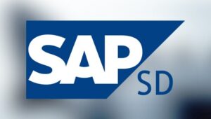 SAP SD Training