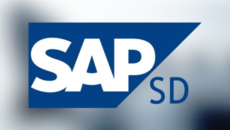 SAP SD Training: Master Sales and Distribution