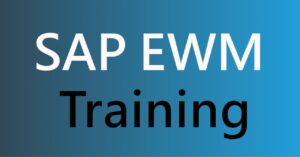 Practical SAP EWM Training