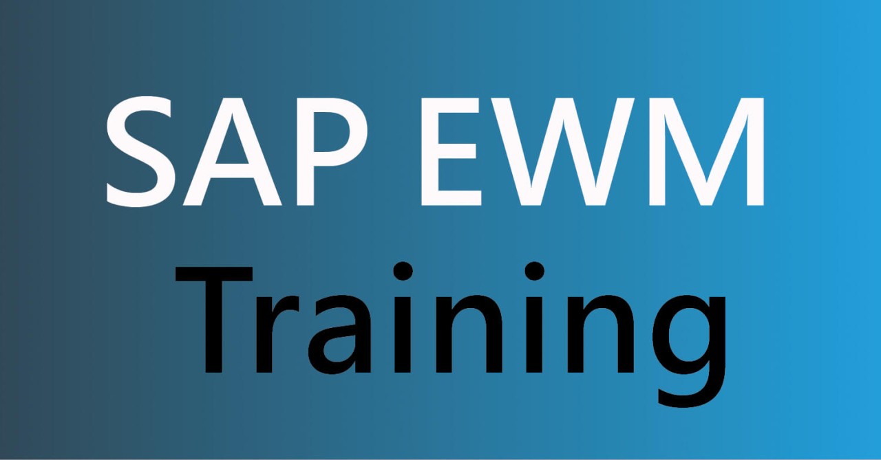 Practical SAP EWM Training