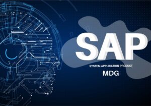 SAP MDG: Master Data Governance Excellence