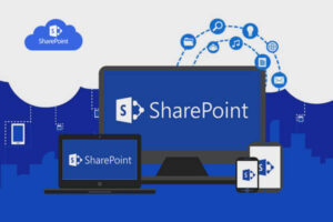 SharePoint Developer