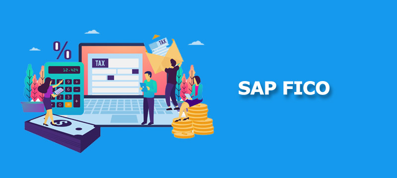 SAP FICO Excellence: A Step-by-Step Course