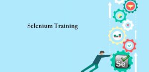 Comprehensive Selenium Training