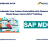 Unleash Your Data's Potential with Master Data Governance SAP Training